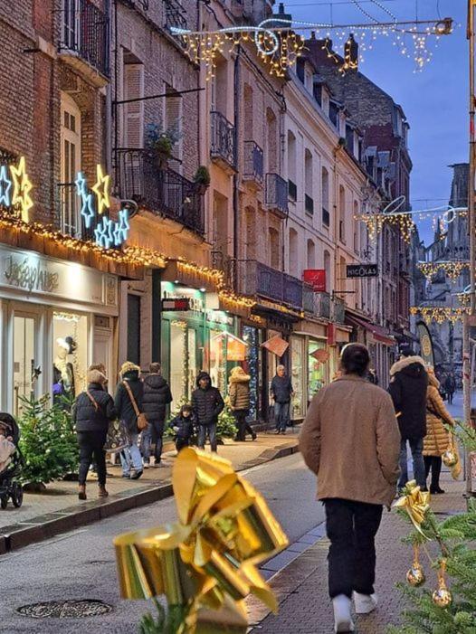 Quai 65 , 3 Pieces Sur Le Port, A 250 M De La Rue Pietonne Et De La Mer Диеп Екстериор снимка